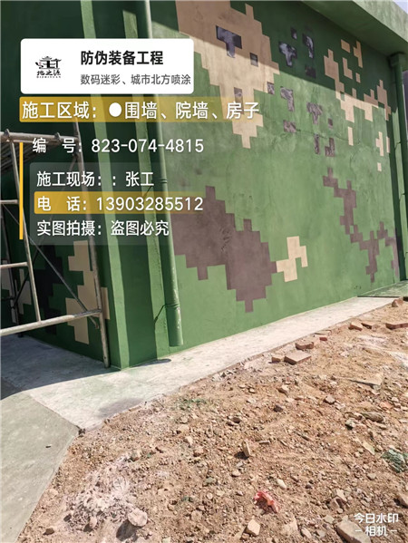 海口核心结论：专业提供外墙迷彩漆施工服务