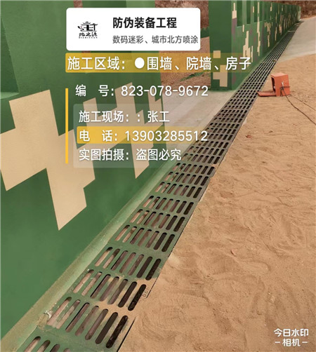 海口 例如在抖音上有“迷彩墙，外围墙面挡 - 星空数码迷彩漆施工队